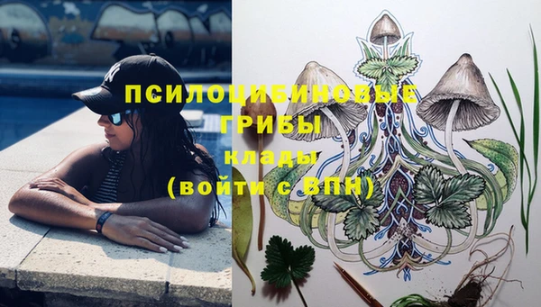 хмурый Семилуки