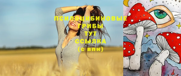 mdma Горняк