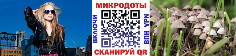 Купить  Рыльск  Псилоцибиновые грибы прущие грибы 